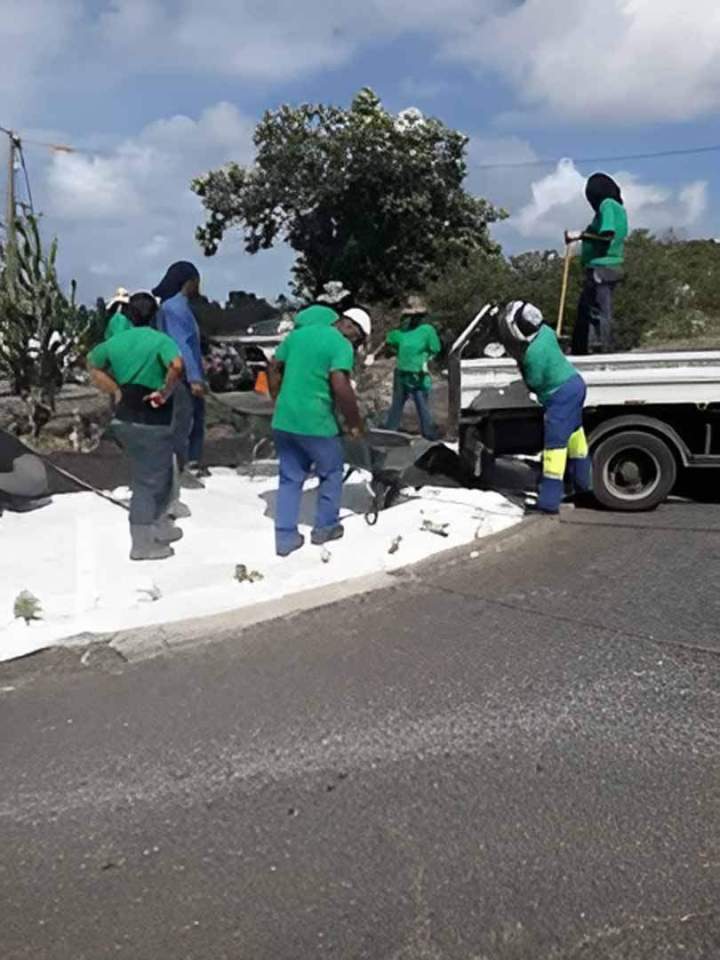 élagage de jardin Guadeloupe
