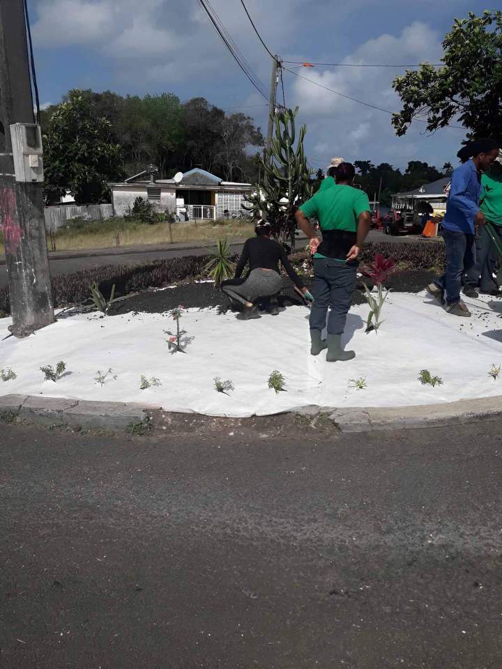 Création de jardin Guadeloupe
