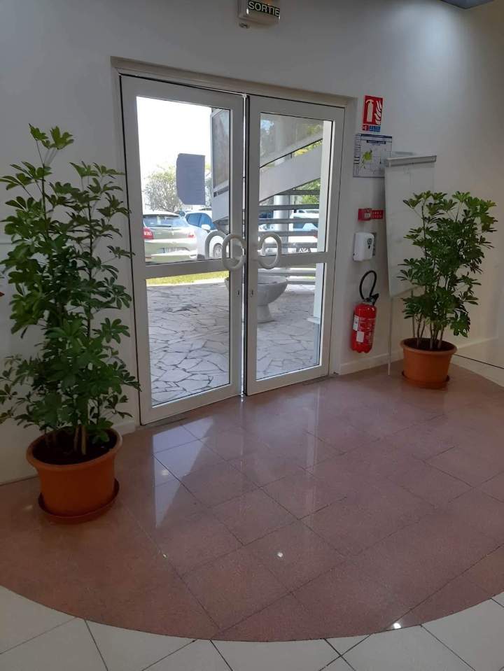 Décoration végétale Guadeloupe
